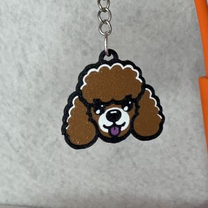 Caniche con pelo rizado y ojos brillantes