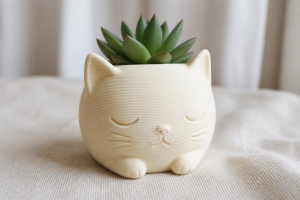 maceta gato