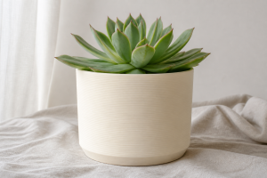 maceta xl